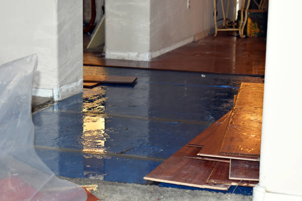 Professional Water Extraction technician working in New Lisbon, WI